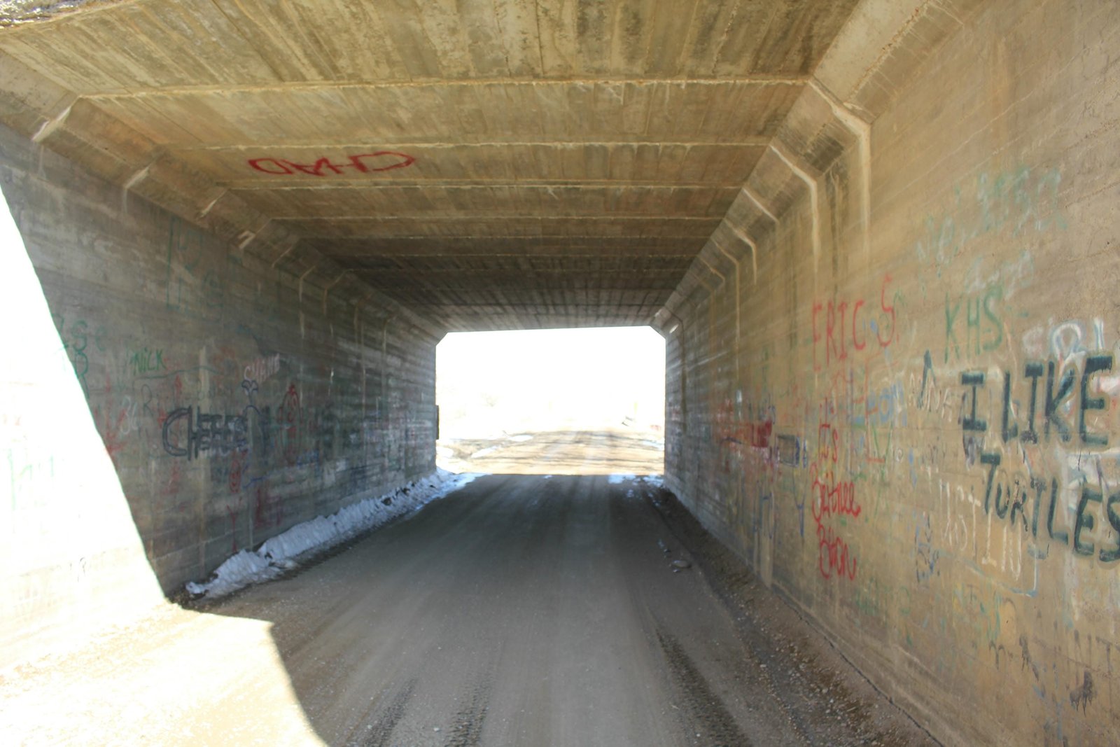 Inside bridge